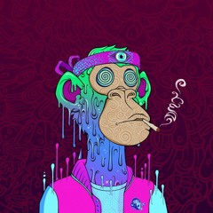 Saturday Morning House Livestream - 14 - 01 - 2023