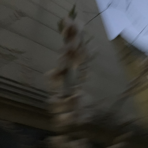 Forgetting You (Feat. HWAN_$)
