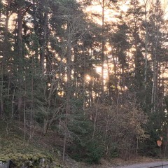 It's Not Theirs To Sell To Us