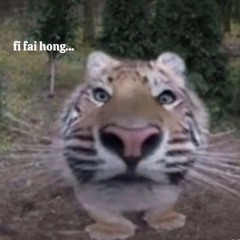 Kz 3 Mẫu thu nhỏ của Kz 4🗿👁️👁️❤️‍🔥