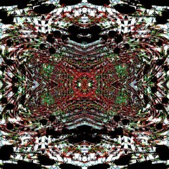 ◊