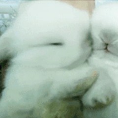 i look at you and nothing else