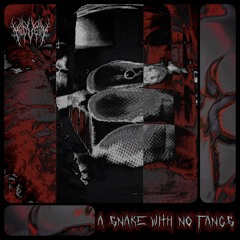 A Snake With No Fangs