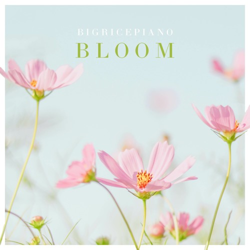 A Promise in the Rain