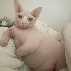 ya ne ponimayu (demo)