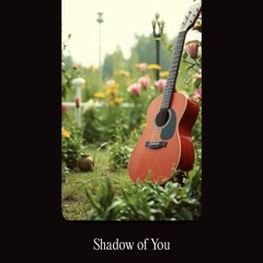 shadow-of-you