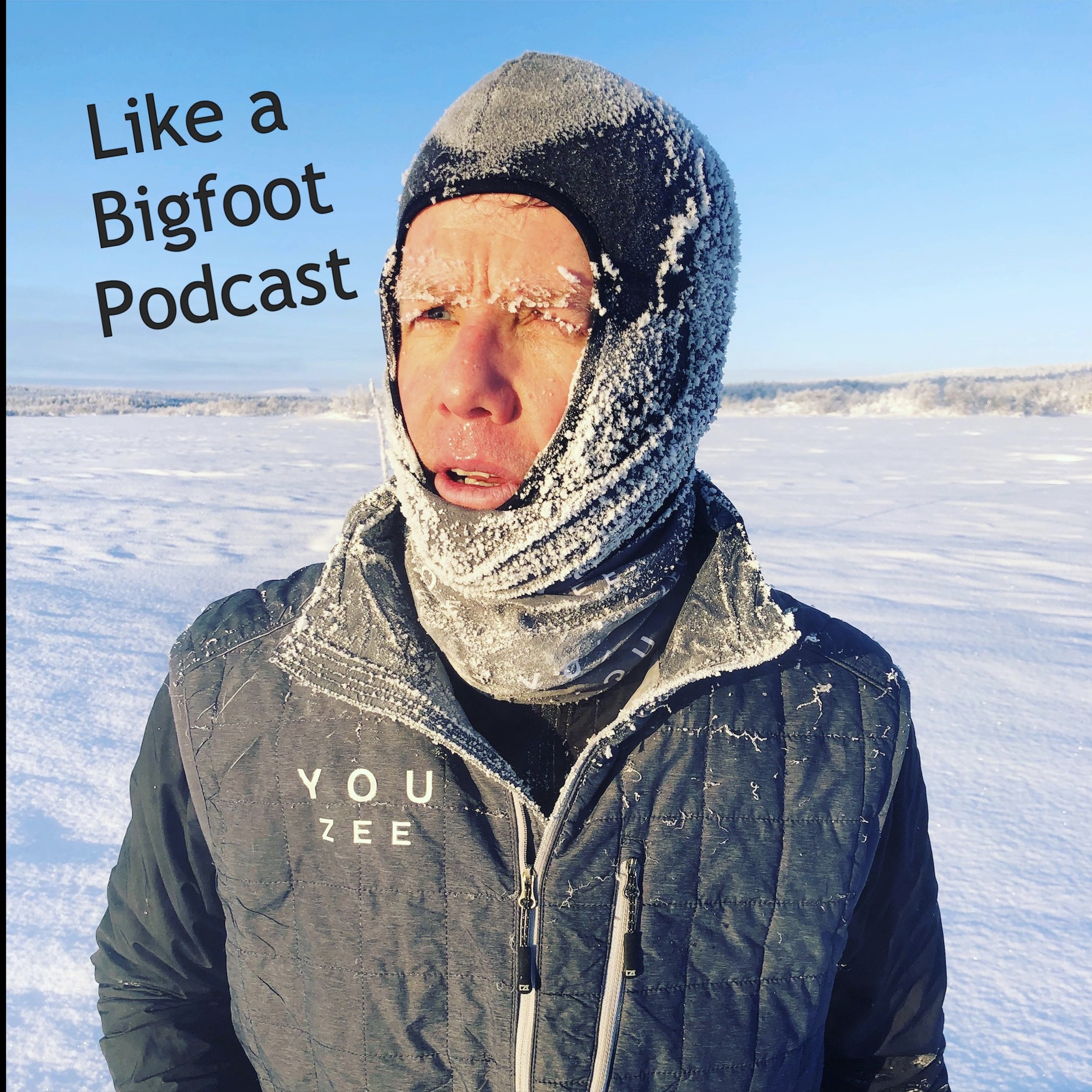 #248: Magnus Brisman -- Trail Blazing Sweden, A Half Marathon In All Of Sweden's National Parks episode artwork