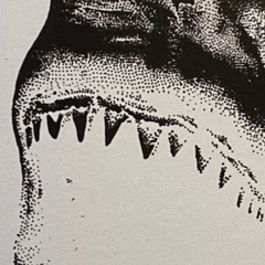 take me to your dreams