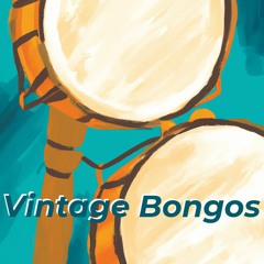 Vintage Bongo Sample Pack Demo