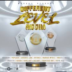 Different Level Riddim Mixed By