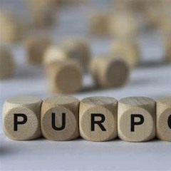 Sense of Purpose Feature Chad E.T.