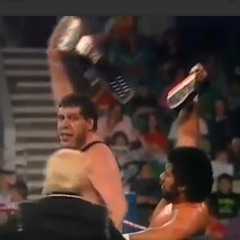 GFA Live #221: WWF Superstars 12-30-1989 (Andre & Haku win tag titles)
