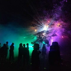 Live at Innerlight Festival 2024