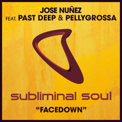 Jose Nuñez feat. Past Deep & Pellygrossa - Facedown