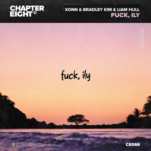 f**k, Ily (with Bradley Kim & Liam Hull)