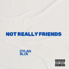 Not Really Friends (Prod. Sapjer)