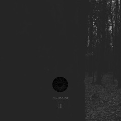 Bereneces - Footsteps