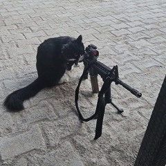 Lucy Duffner - Mate 🇩🇪