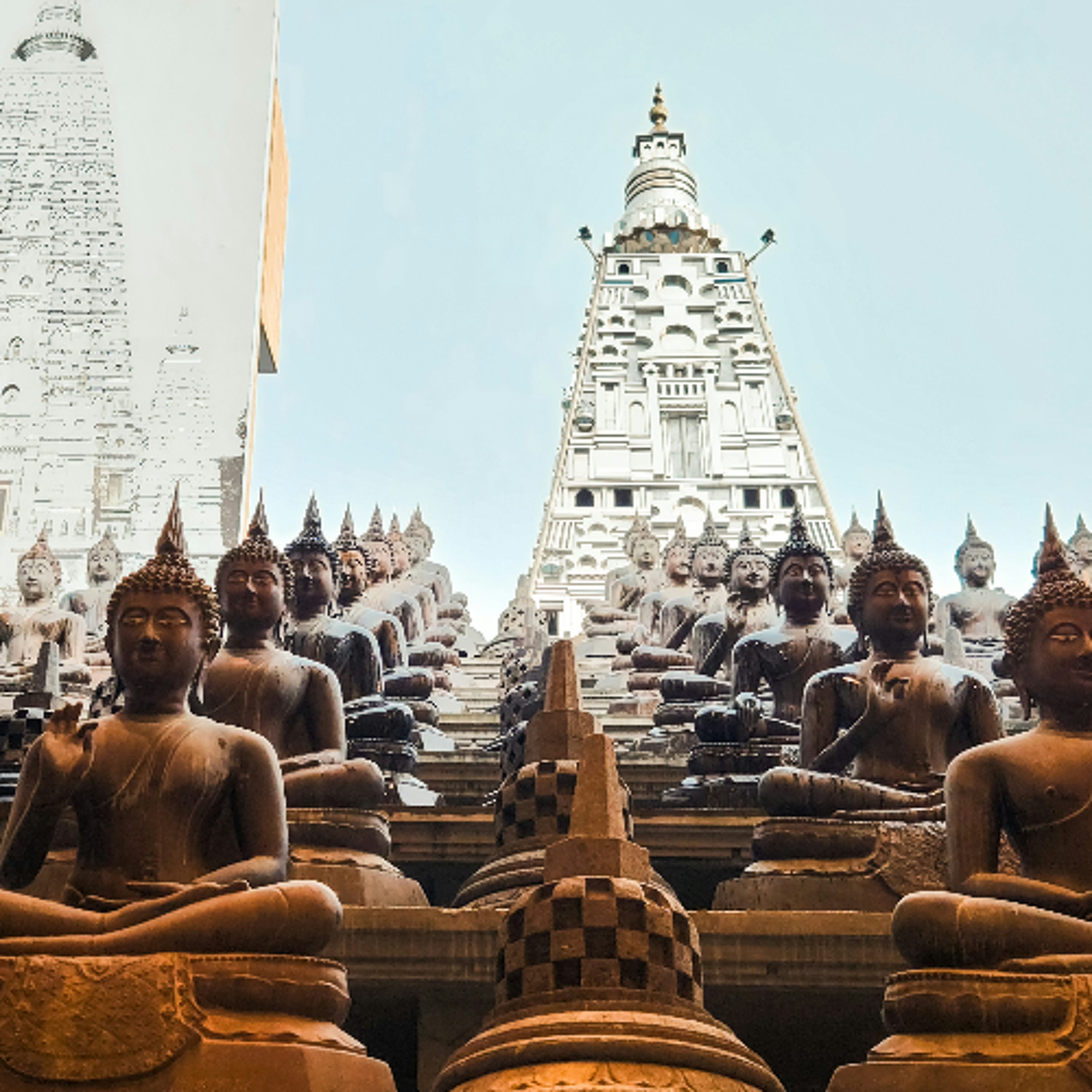Associazione Kalyanamitta: Meditazione, Mindfulness, Buddhismo