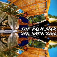 The Palm Star Ibiza Mix 5