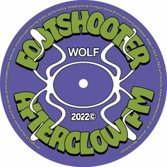 PREMIERE: Footshooter - Turning (Radio Edit) [Wolf Music]