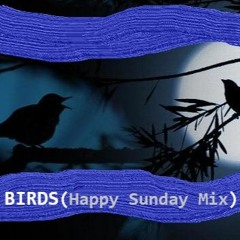 Birds (Happy Sunday Mix)