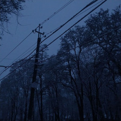 Lost Night