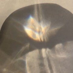 tesoro con pedro bonfim