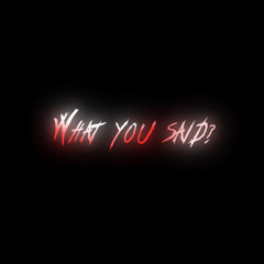 What you said(prod.narcix)