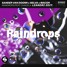 Sander Van - Doorn - Selva X Macon - Raindrops Ft. Chacel  (LEANDRI Edit.)
