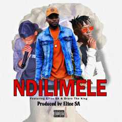 Ndilimele (feat. Bravo The King)