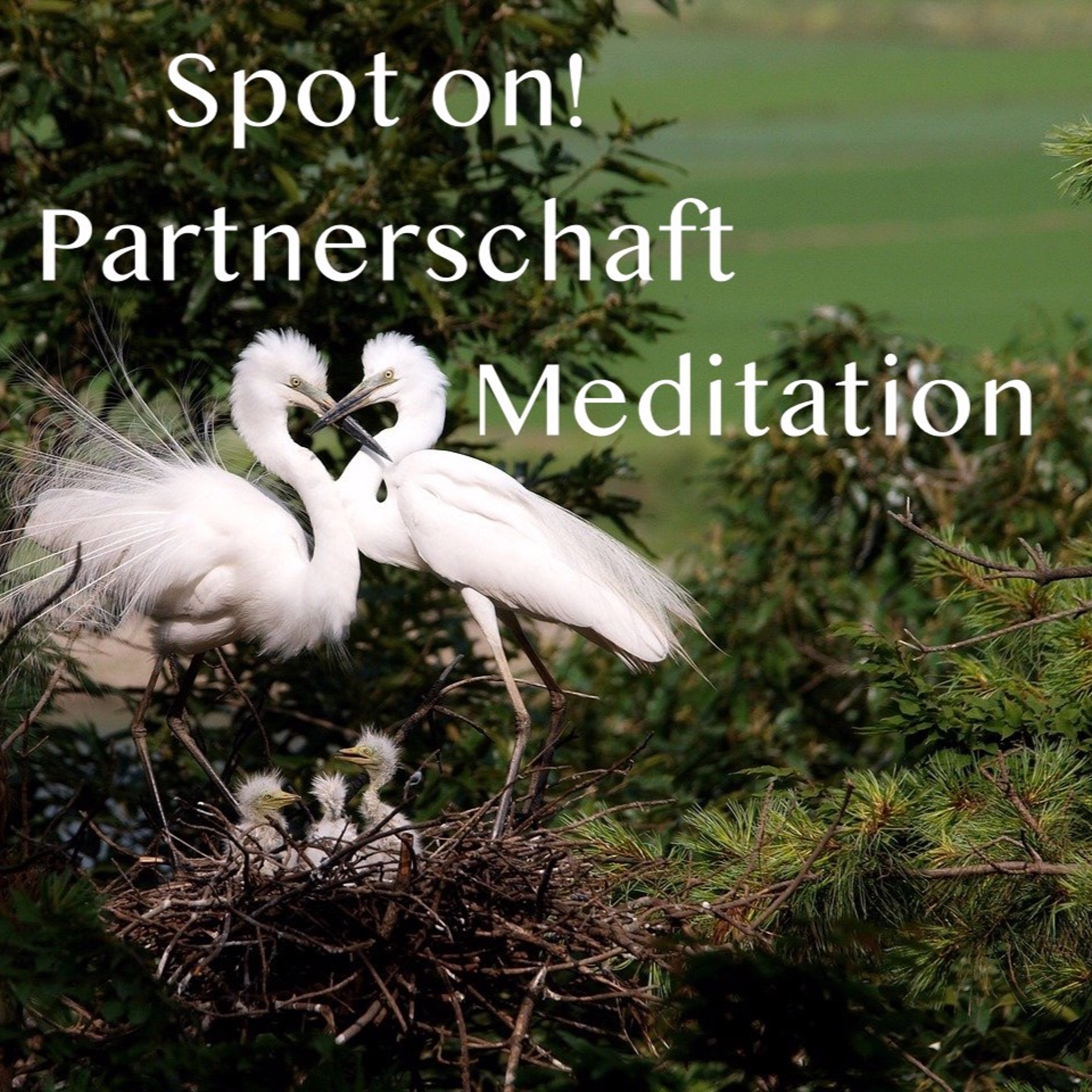 Seelentraum | Meditation | Coaching