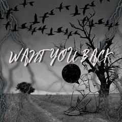 Want You Back
