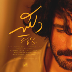 erfan - Delgir | عرفان - دلگیر