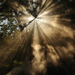 Let There B Light