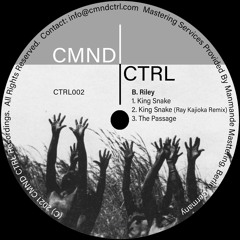 PREMIERE: B.Riley - King Snake (Ray Kajioka Remix) [CMND CTRL]