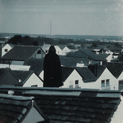 Between Old Photographs