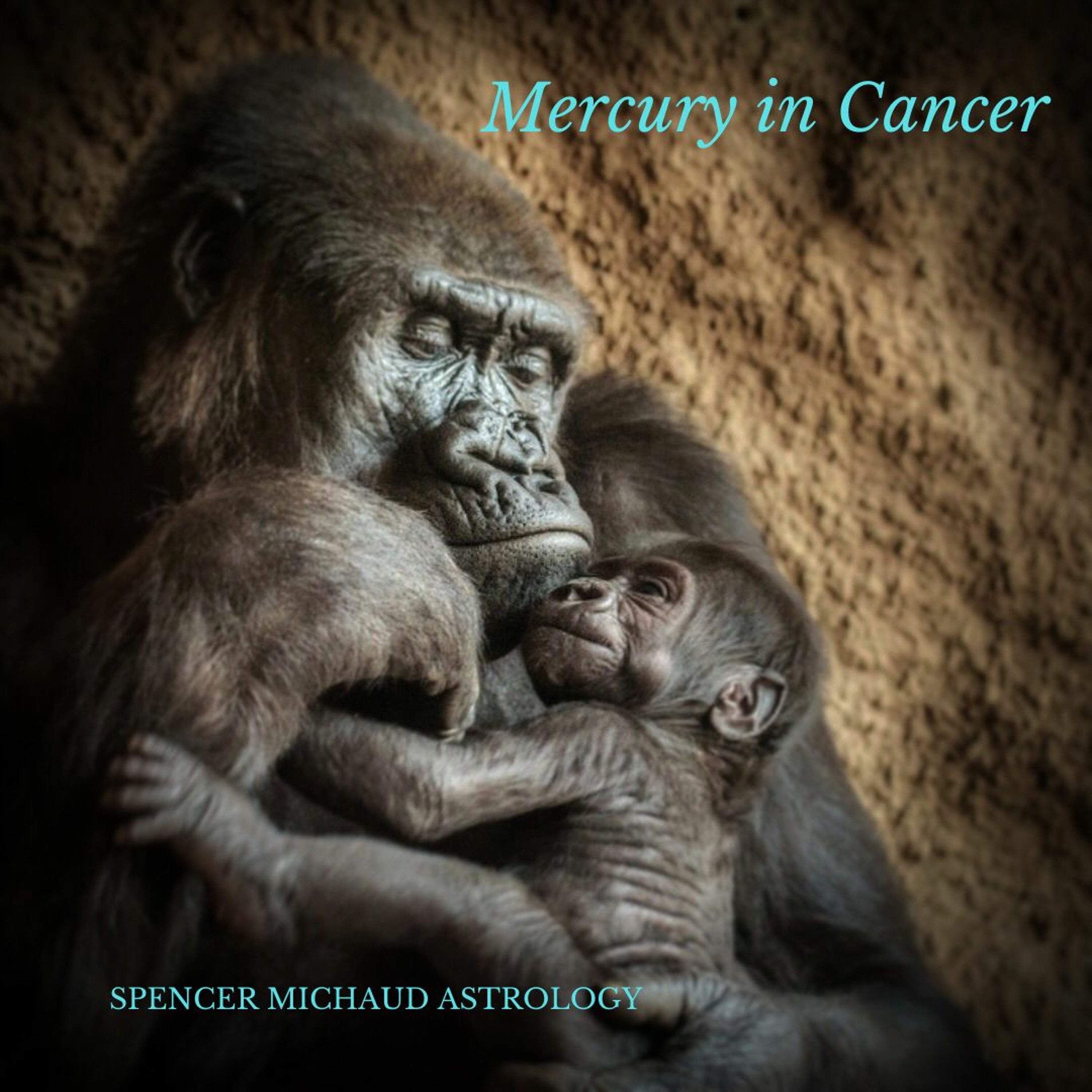 Spencer Michaud Astrology