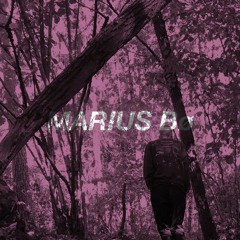 VESELKA PODCAST 030 | Marius Bø