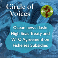 Ocean News Flash: High Seas Treaty and World Trade Organisation Agreement on Fisheries Subsidies