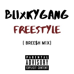 BlixkyGangFreestyle ( Bree$h Mix)