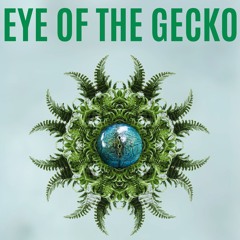 Eye Of The Gecko