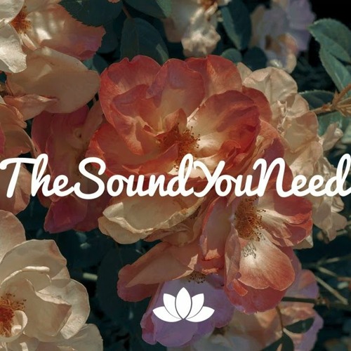 TheSoundYouNeed