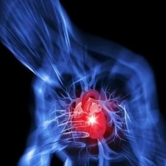 Du bringst mein Herz zum Rasen (Creator DragxzTV Music)