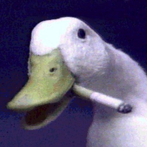 vapornoise 2