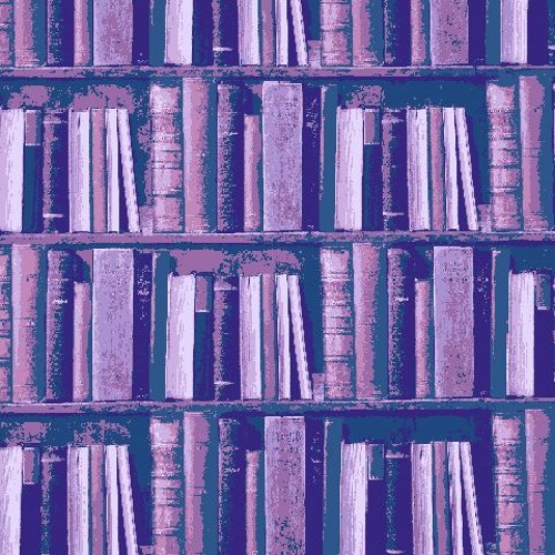 OMORI - Lost Library (slowed + reverb)