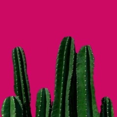 GHOST ROOM 001 - ALAN MALCOLM