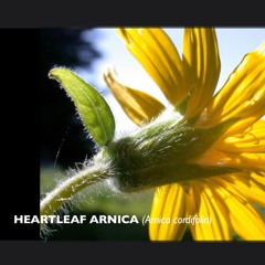 BEYOND RELATIVISM & FALSE AUTHORITY (#Sun2Sound…)