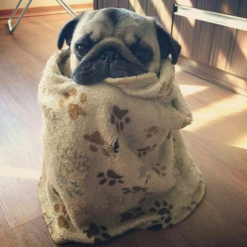 Не доживу до утра (prod. whitespice, astro2k)