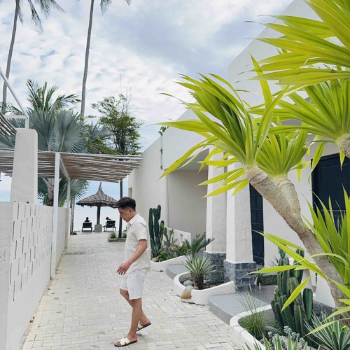 NST - DOAN DUONG TUONG LAI 2025 - VH MIX